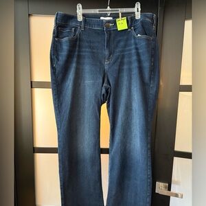 Lane Bryant Indigo Denim Pants